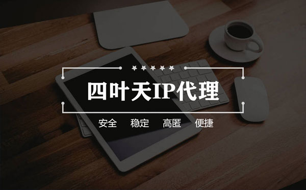 【泰兴代理IP】如何快速搭建代理IP？怎么检查代理的效果？